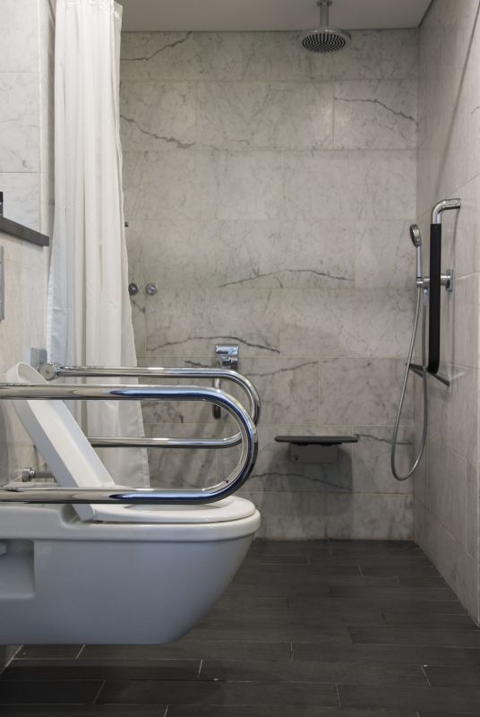 Modern Accessible Bathroom